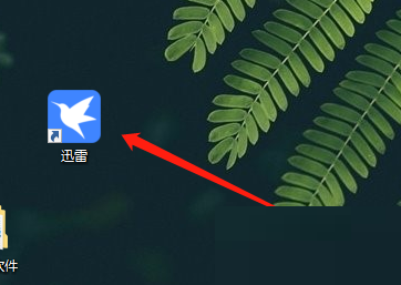 Ѹ��11��ô��������?Ѹ��11��������̳�