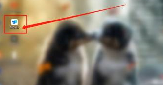 ToDesk�����鿴�汾�ţ�ToDesk�鿴�汾�ŵľ������