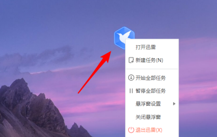 迅雷11怎么显示悬浮窗口?迅雷11显示悬浮窗口的方法_wishdown.com 迅雷11怎么显示悬浮窗口?迅雷11显示悬浮窗口的方法_wishdown.com