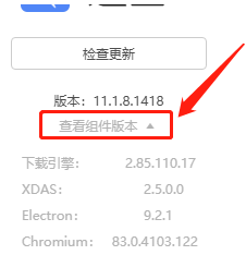 迅雷11如何查看组件版本?迅雷11查看组件版本的方法_wishdown.com 迅雷11如何查看组件版本?迅雷11查看组件版本的方法_wishdown.com