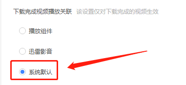 迅雷11如何设置使用系统默认播放器?迅雷11设置使用系统默认播放器的方法_wishdown.com 迅雷11如何设置使用系统默认播放器?迅雷11设置使用系统默认播放器的方法_wishdown.com