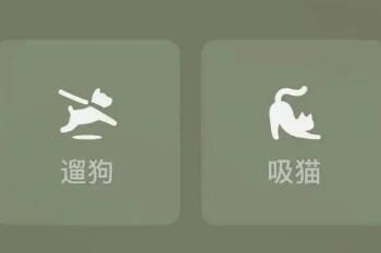 吸猫微信状态是什么意思_wishdown.com 吸猫微信状态是什么意思_wishdown.com