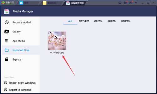 BlueStacks如何导入电脑图片?BlueStacks导入电脑图片的方法_wishdown.com BlueStacks如何导入电脑图片?BlueStacks导入电脑图片的方法_wishdown.com