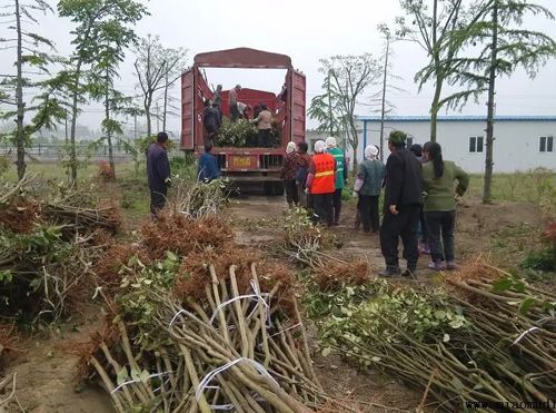 适合普通老百姓创业的5条门路_wishdown.com 适合普通老百姓创业的5条门路_wishdown.com