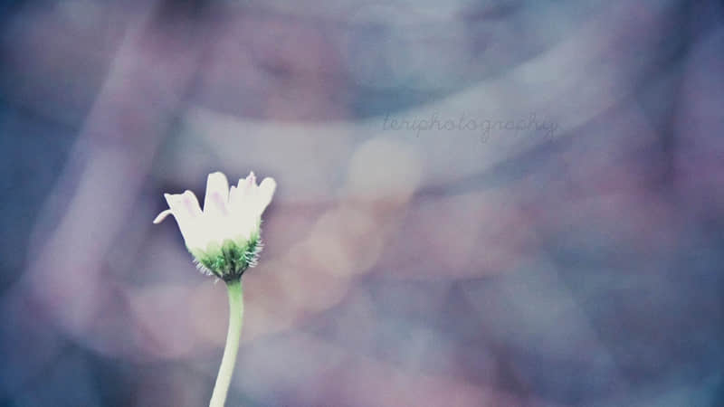 ����?��?Ȧ?�������������������û�˲����ޡ�