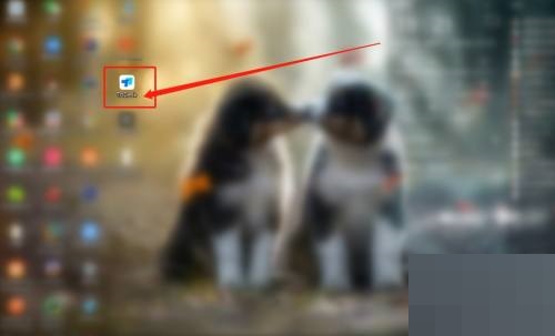 todesk怎么查看版本号?todesk查看版本号教程_wishdown.com todesk怎么查看版本号?todesk查看版本号教程_wishdown.com