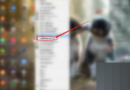todesk怎么查看版本号?todesk查看版本号教程_wishdown.com todesk怎么查看版本号?todesk查看版本号教程_wishdown.com