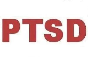 ptsd是什么意思网络用语_wishdown.com ptsd是什么意思网络用语_wishdown.com