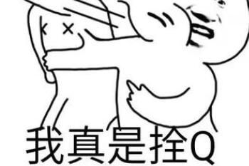 栓Q是什么意思?我真的栓Q了什么梗_wishdown.com 栓Q是什么意思?我真的栓Q了什么梗_wishdown.com