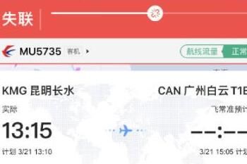 东航MU5735坠毁事故最新进展_wishdown.com 东航MU5735坠毁事故最新进展_wishdown.com