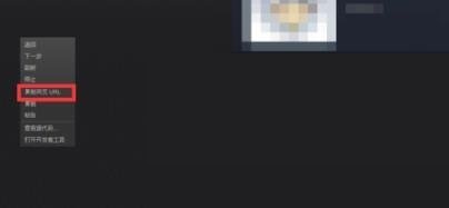 steam9位数字id怎么查看?steam9位数字id查看方法_wishdown.com steam9位数字id怎么查看?steam9位数字id查看方法_wishdown.com