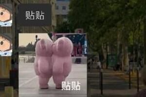 贴贴是什么意思网络用语_wishdown.com 贴贴是什么意思网络用语_wishdown.com