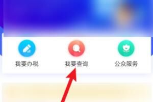 个人所得税一年的工资纳税情况怎么查看_wishdown.com 个人所得税一年的工资纳税情况怎么查看_wishdown.com