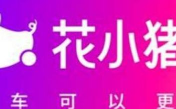 花小猪和滴滴是什么关系_wishdown.com 花小猪和滴滴是什么关系_wishdown.com