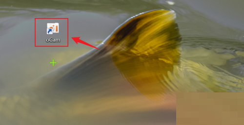 oCam(屏幕录像软件)怎么设置录制包含鼠标?oCam(屏幕录像软件)设置录制包含鼠标教程_wishdown.com oCam(屏幕录像软件)怎么设置录制包含鼠标?oCam(屏幕录像软件)设置录制包含鼠标教程_wishdown.com