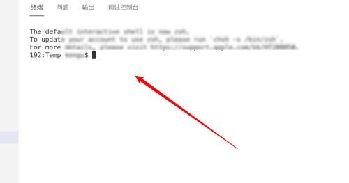 Vscode如何在终端显示结果?Vscode在终端显示结果教程_wishdown.com Vscode如何在终端显示结果?Vscode在终端显示结果教程_wishdown.com