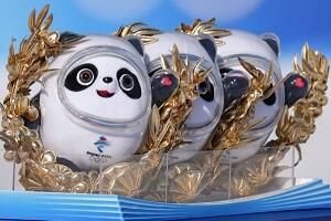 �˶�Ա�޶�����նս�ɫ������ʲô����