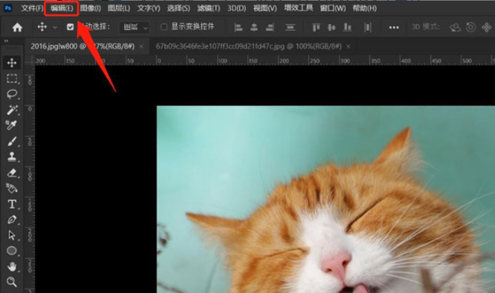 ps怎么清理剪切板?ps清理剪贴板教程_wishdown.com ps怎么清理剪切板?ps清理剪贴板教程_wishdown.com