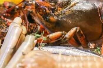 被海鲜扎手可能丧命是怎么回事_wishdown.com 被海鲜扎手可能丧命是怎么回事_wishdown.com