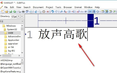 EditPlus字体怎么变大?EditPlus设置字体大小步骤介绍_wishdown.com EditPlus字体怎么变大?EditPlus设置字体大小步骤介绍_wishdown.com