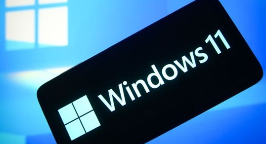 Windows11浏览器没网怎么解决?Windows11设置局域网络技巧_wishdown.com Windows11浏览器没网怎么解决?Windows11设置局域网络技巧_wishdown.com
