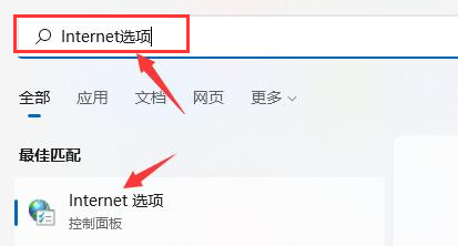 Windows11浏览器没网怎么解决?Windows11设置局域网络技巧_wishdown.com Windows11浏览器没网怎么解决?Windows11设置局域网络技巧_wishdown.com