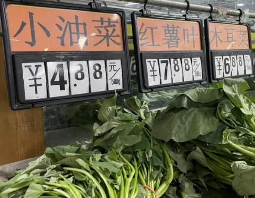 最近蔬菜价格高涨原因是为什么 还会持续涨多久 具体有这三方面原因_wishdown.com 最近蔬菜价格高涨原因是为什么 还会持续涨多久 具体有这三方面原因_wishdown.com