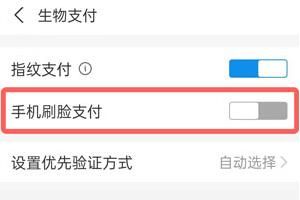 支付宝涮脸支付怎么开通方法流程_wishdown.com 支付宝涮脸支付怎么开通方法流程_wishdown.com