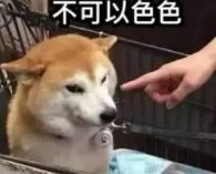 柴犬色色卡是什么意思梗_wishdown.com 柴犬色色卡是什么意思梗_wishdown.com