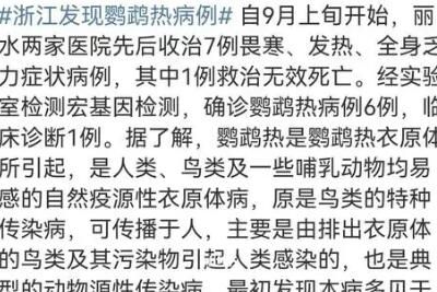 鹦鹉热是什么病?会人传染人吗_wishdown.com 鹦鹉热是什么病?会人传染人吗_wishdown.com