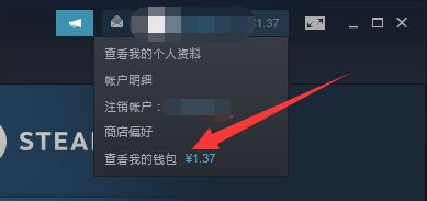 steam支付方式没有steam钱包怎么办?steam支付方式没有steam钱包解决办法_wishdown.com steam支付方式没有steam钱包怎么办?steam支付方式没有steam钱包解决办法_wishdown.com