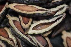 槟榔会致癌上瘾为什么不禁止还在卖_wishdown.com 槟榔会致癌上瘾为什么不禁止还在卖_wishdown.com