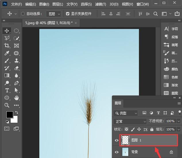 ps2021�������ͭ����Ч����ps2021����ͭ����Ч����������