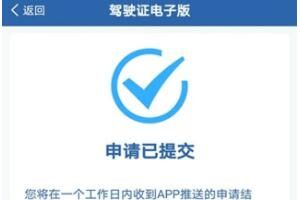 电子驾照申请审核失败原因分析_wishdown.com 电子驾照申请审核失败原因分析_wishdown.com