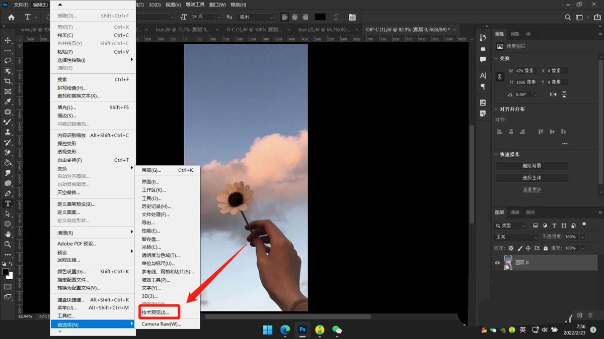 PS2022如何停用本机画布?PS2022停用本机画布方法教程_wishdown.com PS2022如何停用本机画布?PS2022停用本机画布方法教程_wishdown.com
