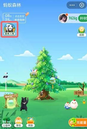 ֧��������ɭ��������װ����ô���