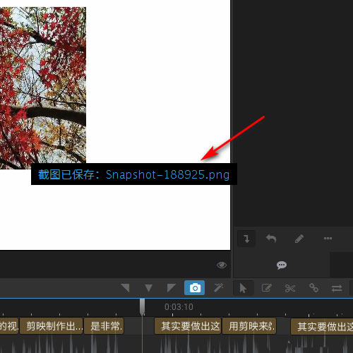 arctime视频画面怎么截图?arctime视频画面截图方法_wishdown.com arctime视频画面怎么截图?arctime视频画面截图方法_wishdown.com