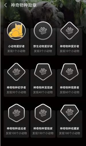 蚂蚁森林神奇物种在哪里保护方法_wishdown.com 蚂蚁森林神奇物种在哪里保护方法_wishdown.com