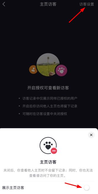 抖音主页访客记录怎么关闭和打开_wishdown.com 抖音主页访客记录怎么关闭和打开_wishdown.com