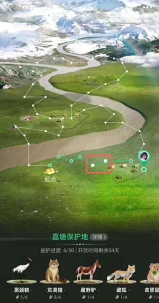 ����ɭ�ֱ�����Ѳ����ô�泣���������