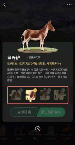 蚂蚁森林保护地巡护入口及玩法介绍_wishdown.com 蚂蚁森林保护地巡护入口及玩法介绍_wishdown.com