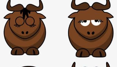 小牛马网络词什么意思_wishdown.com 小牛马网络词什么意思_wishdown.com