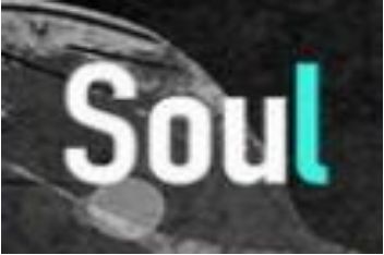 soul��ʲô���������Ǹ����õ�