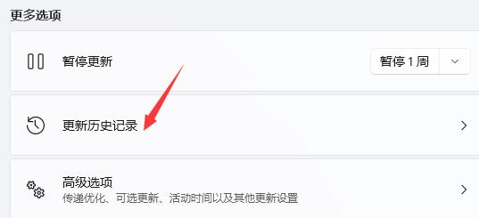 Win11更新后出现闪屏怎么办?Win11更新后闪屏解决办法_wishdown.com Win11更新后出现闪屏怎么办?Win11更新后闪屏解决办法_wishdown.com