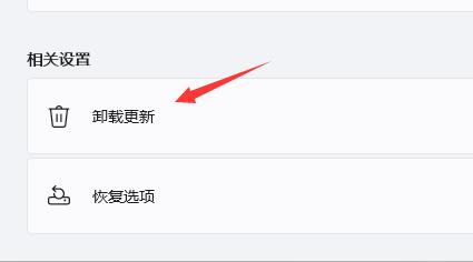 Win11更新后出现闪屏怎么办?Win11更新后闪屏解决办法_wishdown.com Win11更新后出现闪屏怎么办?Win11更新后闪屏解决办法_wishdown.com