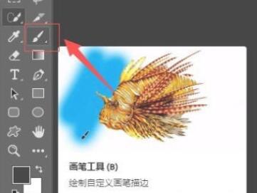 PS2020如何导入笔刷?PS2020导入笔刷的步骤_wishdown.com PS2020如何导入笔刷?PS2020导入笔刷的步骤_wishdown.com