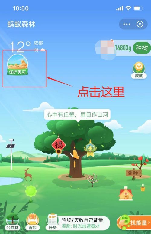 ����ɭ�ֱ����ƺӻ��ڼ������淨����