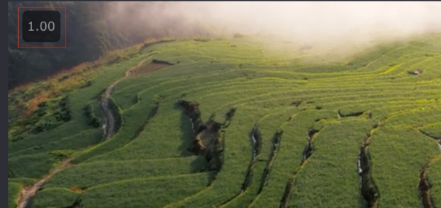 video speed controller如何设置倍数?video speed controller设置倍数步骤_wishdown.com video speed controller如何设置倍数?video speed controller设置倍数步骤_wishdown.com