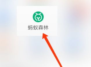 ֧��������ɭ�ָ����ѷ����ĺ����������