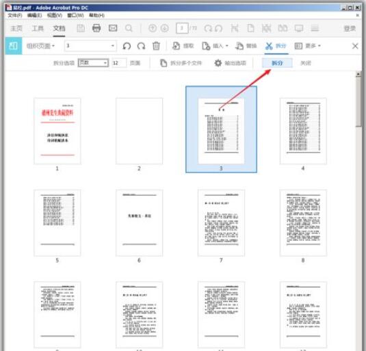 adobe acrobat reader dc怎么拆分pdf?adobe acrobat reader dc拆分pdf的方法_wishdown.com adobe acrobat reader dc怎么拆分pdf?adobe acrobat reader dc拆分pdf的方法_wishdown.com